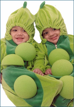 Duplicate Content Costume