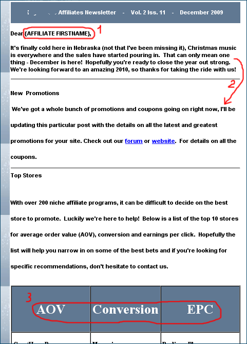 affiliate newsletter