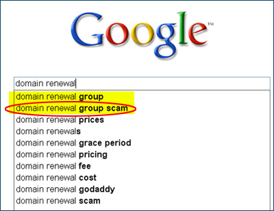 Domain Renewal Group on Google