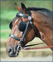 Blinders are good in appropriate contexts