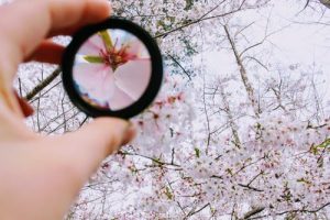Affiliate discovery