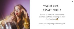 WinkyLux ecommerce email pop-up